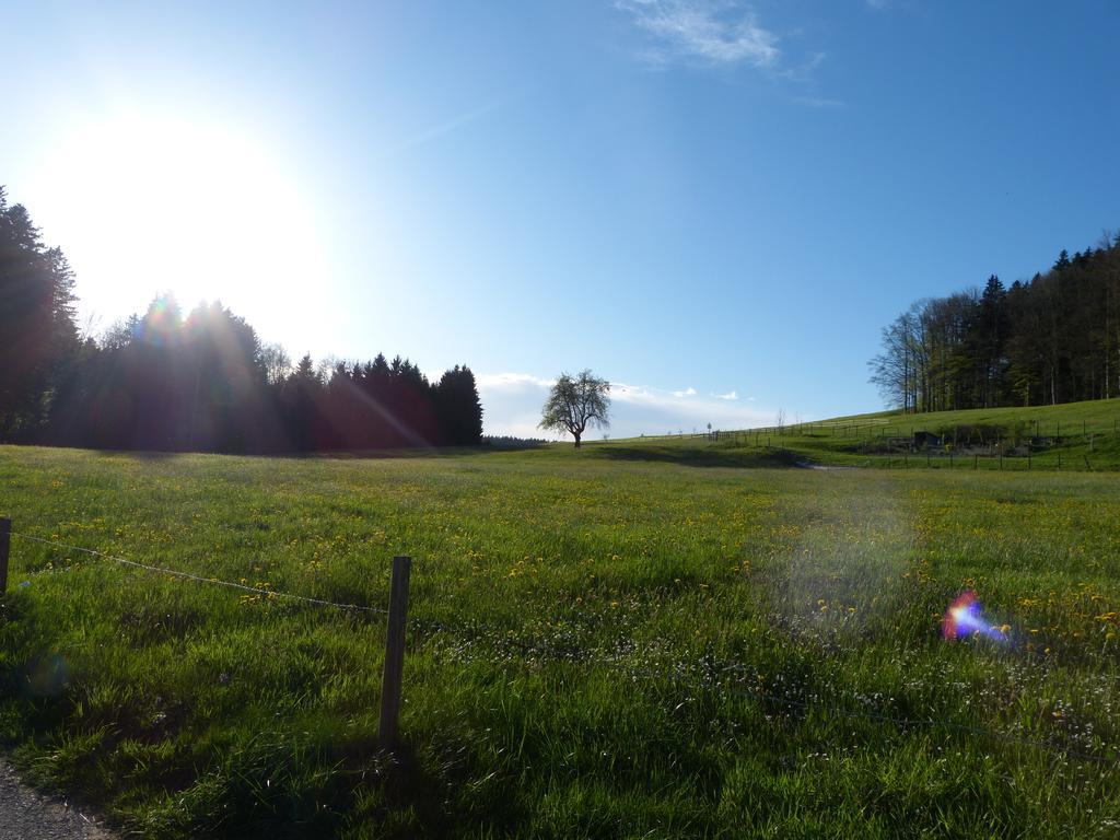 Hotel Landgasthof Santisblick Abtwyl Exterior foto